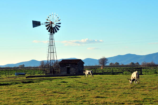 Parco della Maremma